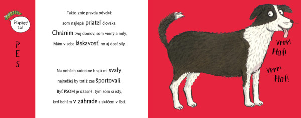 Roztopašné hry NA DVORE so zvieratkami 5