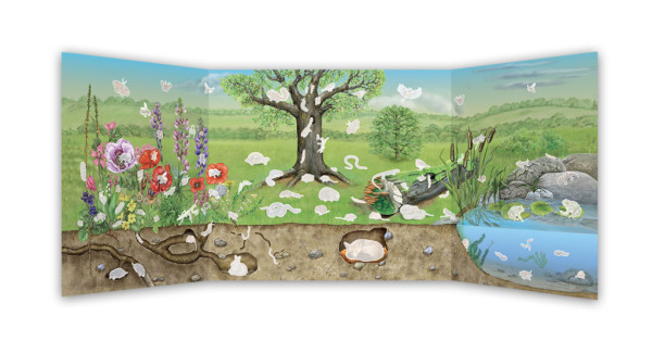 SVET VTÁKOV, HMYZU a ďalších zvierat našich záhrad – Knižka s plagátom a samolepkami 1