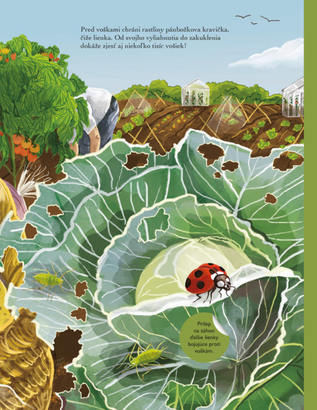 SVET CHROBÁKOV, MOTÝĽOV a iných potvoriek – Kniha samolepiek 2