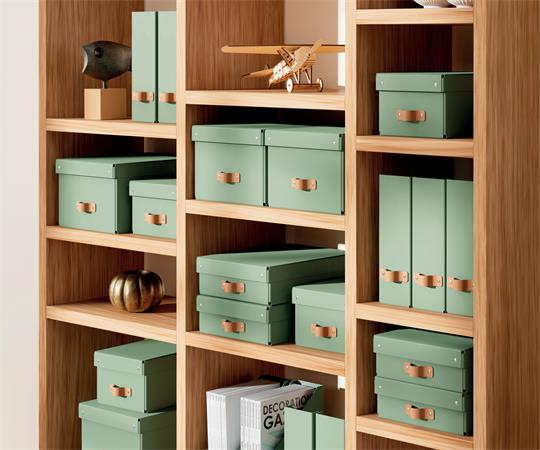 Úložný box, veľkosť M, LEITZ "Puro", zelený 5