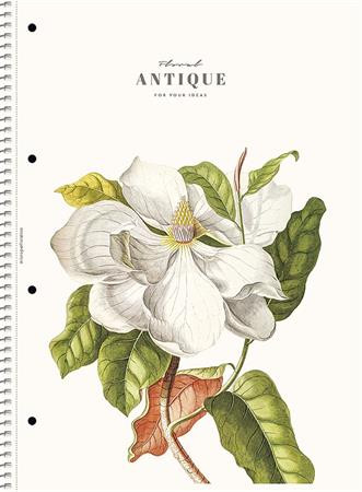 SHKOLYARYK Špirálový zošit, A4, linkovaný, 80 listov, SHOLYARYK „College Block Wonders“, mix 4