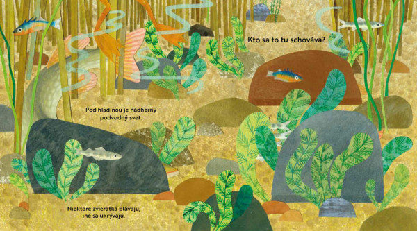 Kto sa to tu schováva? PRI RIEKE – Knižka s odklápacími okienkami 2