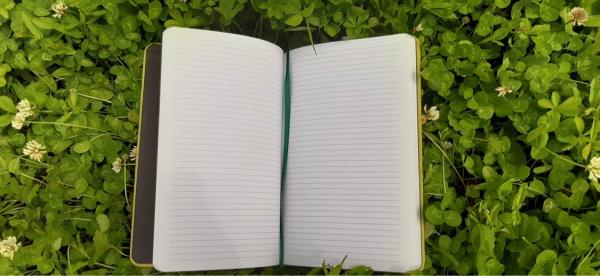 Notes ECO ZELENÝ 3
