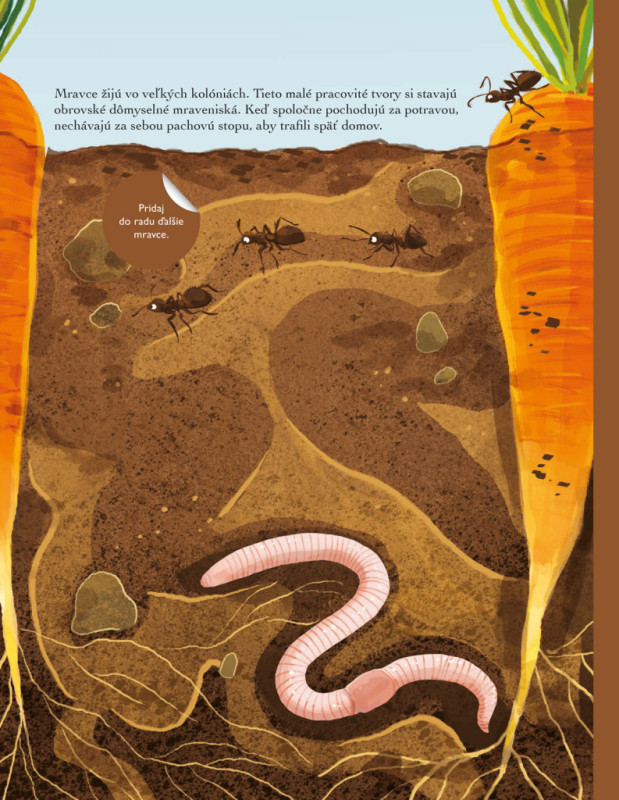 SVET CHROBÁKOV, MOTÝĽOV a iných potvoriek – Kniha samolepiek 6