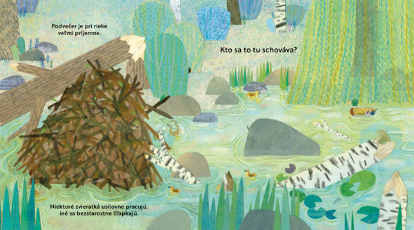 Kto sa to tu schováva? PRI RIEKE – Knižka s odklápacími okienkami 4