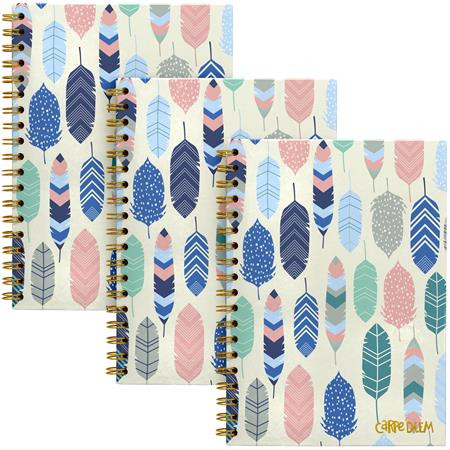 Špirálový zošit, B5, linajkový, 80 listov, FSC, PUKKA PAD "Carpe Diem", pierka