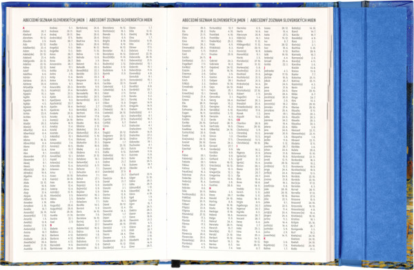 NOTIQUE Týždenný magnetický diár Vincent van Gogh 2026, 13 x 21 cm 6