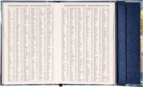 NOTIQUE Týždenný magnetický diár Alfons Mucha 2026, 11 x 16 cm 6