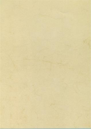 Predtlačený papier, A4, 200 g, APLI, havana