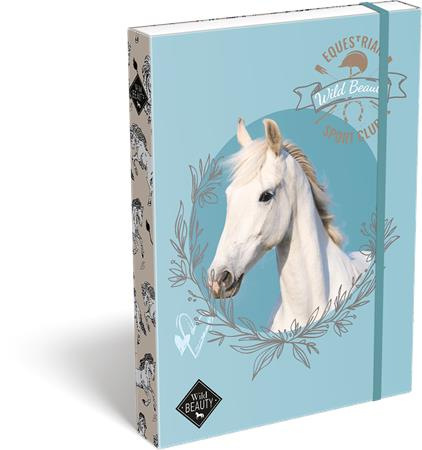 Box na zošity, A4, LIZZYSULI, "Wild Beauty, Sport Club"