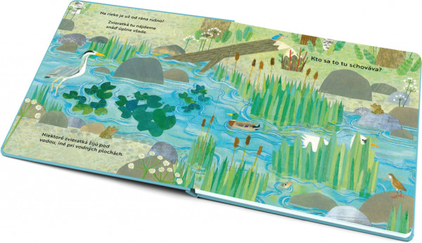 Kto sa to tu schováva? PRI RIEKE – Knižka s odklápacími okienkami 6