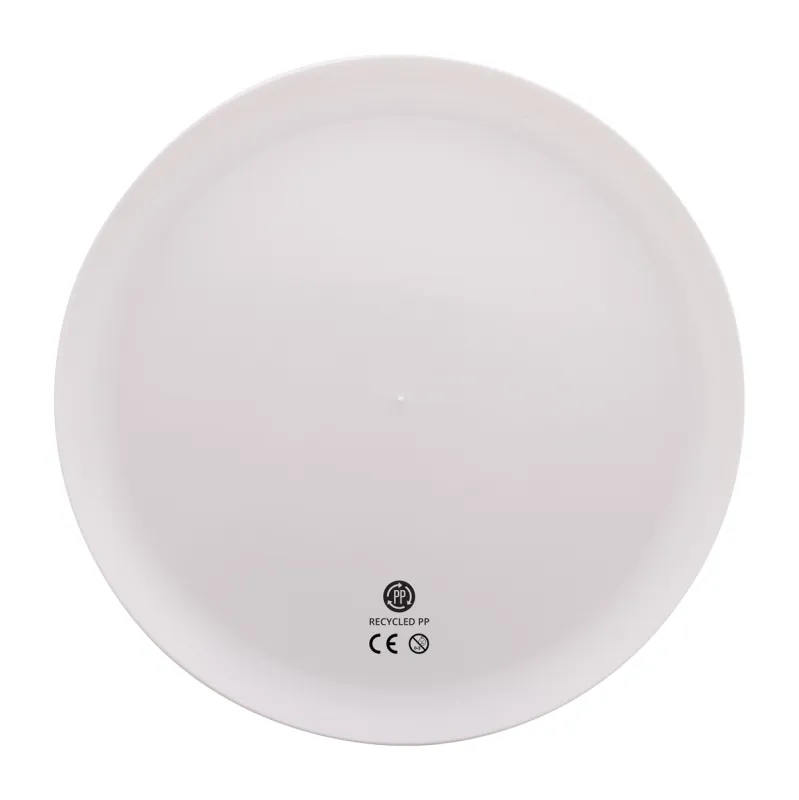 Reppy frisbee 1