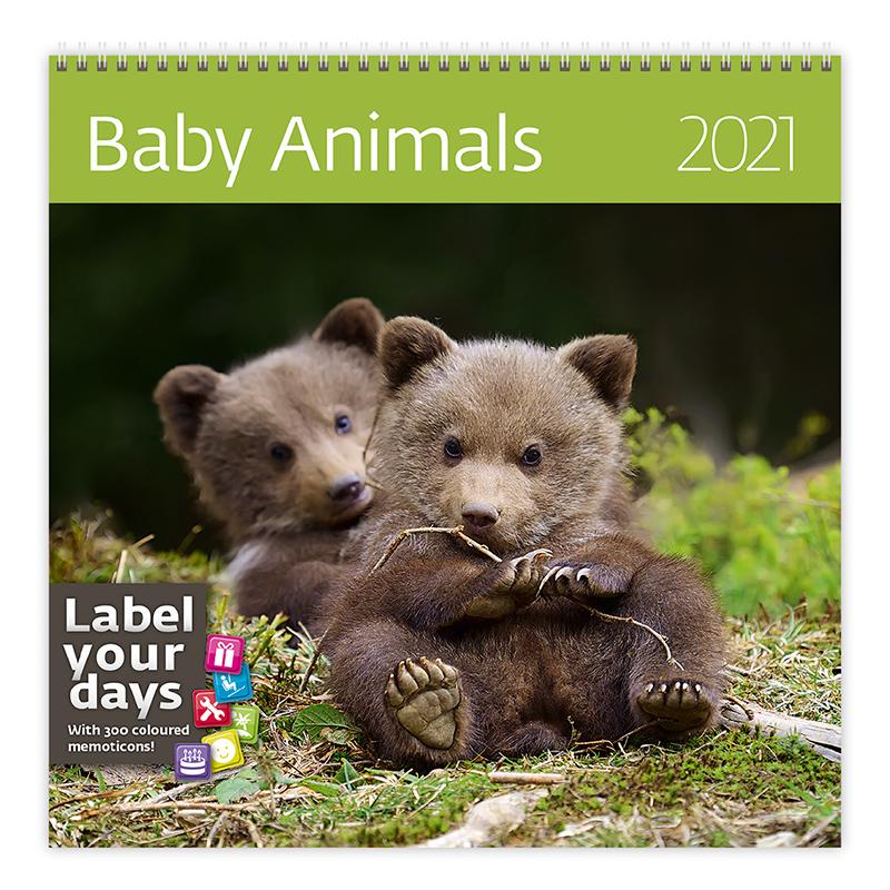 Baby Animals