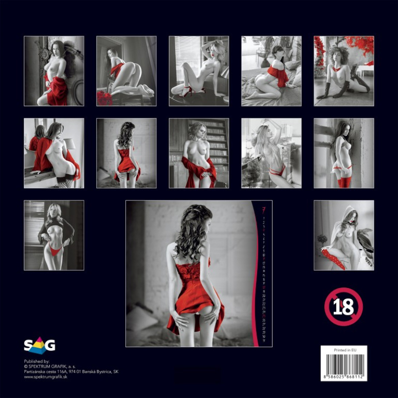 Nástenný kalendár Girls štvorec 2027 14