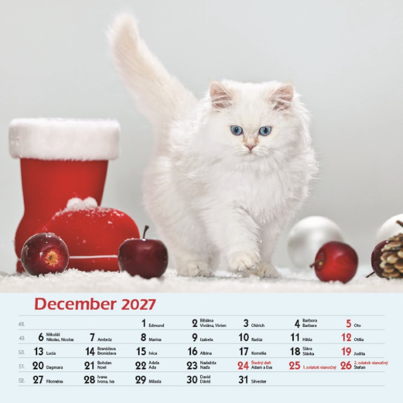 Nástenný kalendár Mačky 2027 13