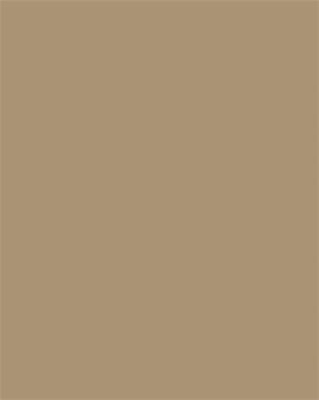 Dekoračný kartón, 2 stranný, A4, 300 g, 50 listov, FOLIA, prírodný hnedý 2