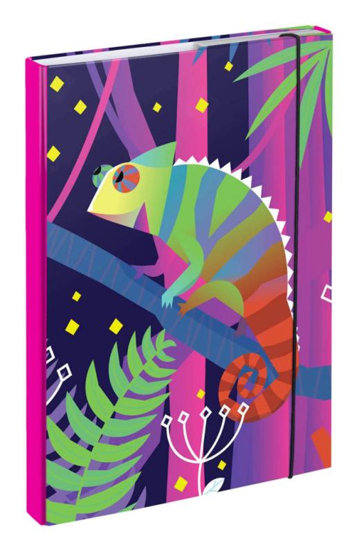 BAAGL SET 5 Ergo Chameleon: aktovka, penál, sáček, desky, box 13