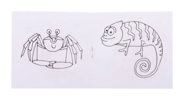 Coloxil 12 sada na vybarvování, zvířata 2