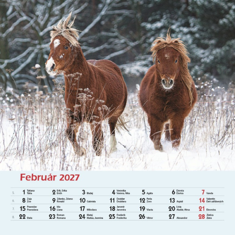 Nástenný kalendár Priatelia 2027 3