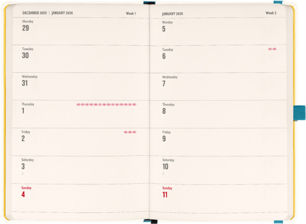 NOTIQUE Planbook diár/notes Herbár 2026, 13 x 21 cm 1