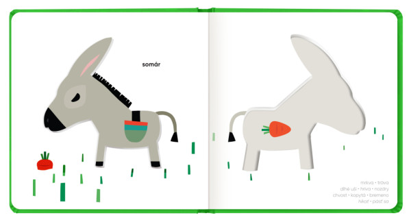 MÔJ DVORČEK – Klap klap obrázky 2