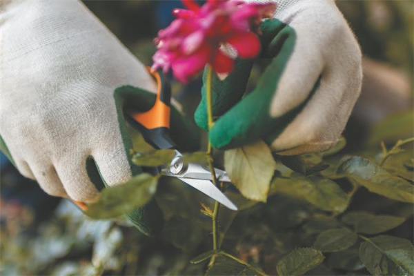 Záhradnícke nožnice, s ostrou špičkou, FISKARS "Solid™ SP15" 4