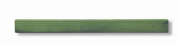 KOH-I-NOOR Olejové kriedy "KOH 8111/6", gioconda 2