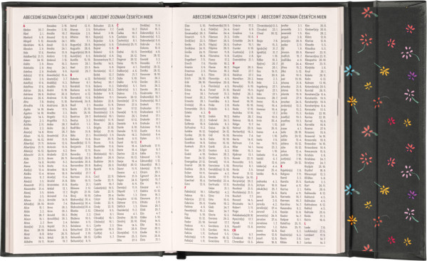 NOTIQUE Týždenný magnetický diár Malý princ 2026, 11 x 16 cm 6