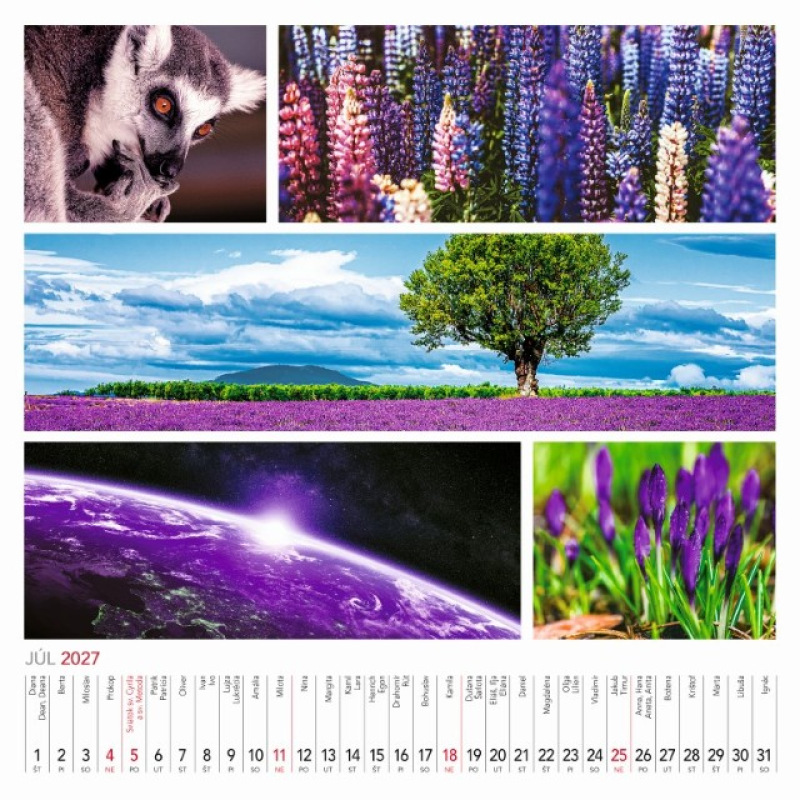 Nástenný kalendár Colours of nature 2027 8