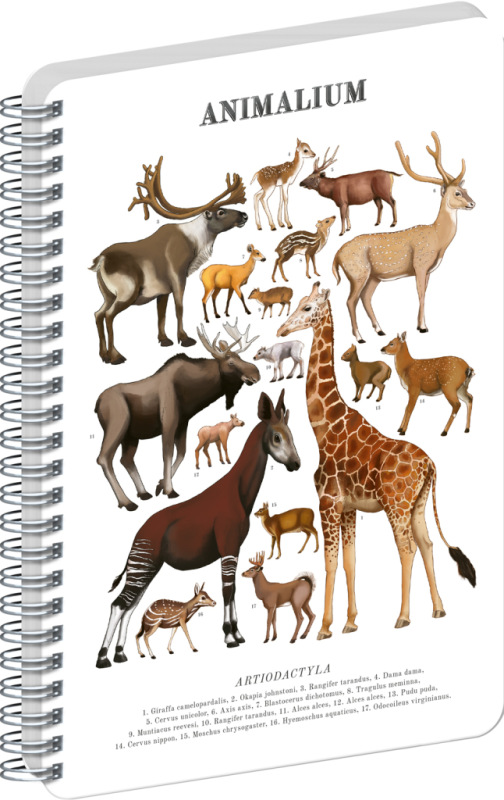 NOTIQUE Špirálový blok Animalium – Párnokopytníky, čistý, A4