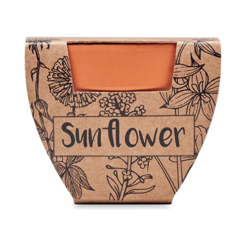 SUNFLOWER 1