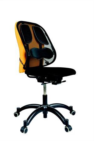 Chrbtová opierka, FELLOWES "Professional Series™ Mesh" 1