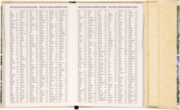 NOTIQUE Týždenný magnetický diár Josef Lada 2026, 11 x 16 cm 7