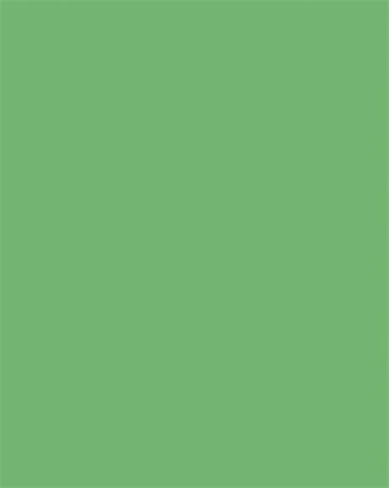 Dekoračný kartón, 2 stranný, 50x70 cm, 220 g, 10 listov, FOLIA, smaragdovo zelený 1