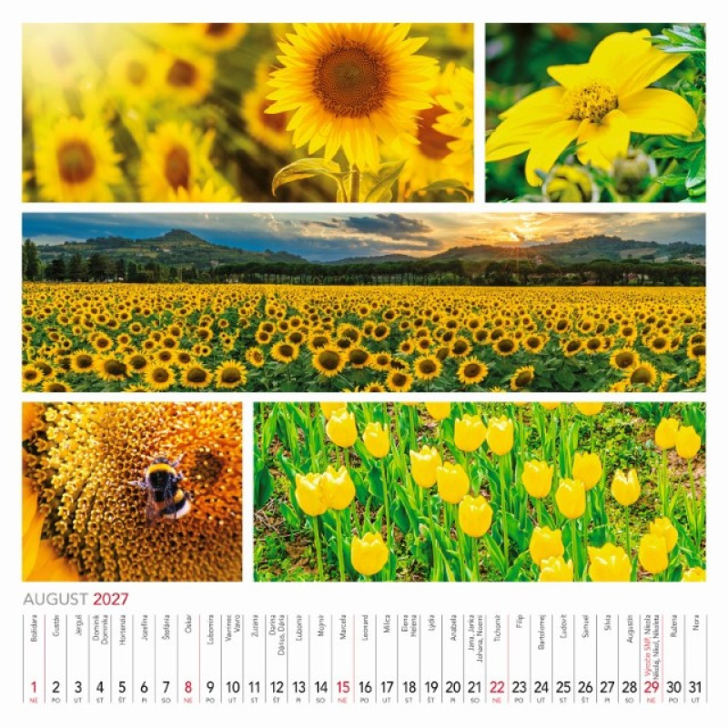 Nástenný kalendár Colours of nature 2027 9