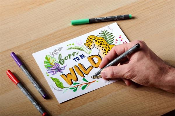 Popisovač, 1 mm, kuželový, 2 ks, STAEDTLER® "Pigment pen 376", intenzívny čierny 5
