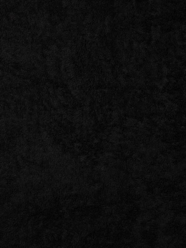 Uterák VINGA Birch 70x140 čierna 3