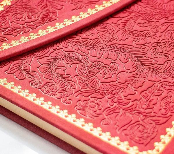 Notes MAGNETIC CORAL 2