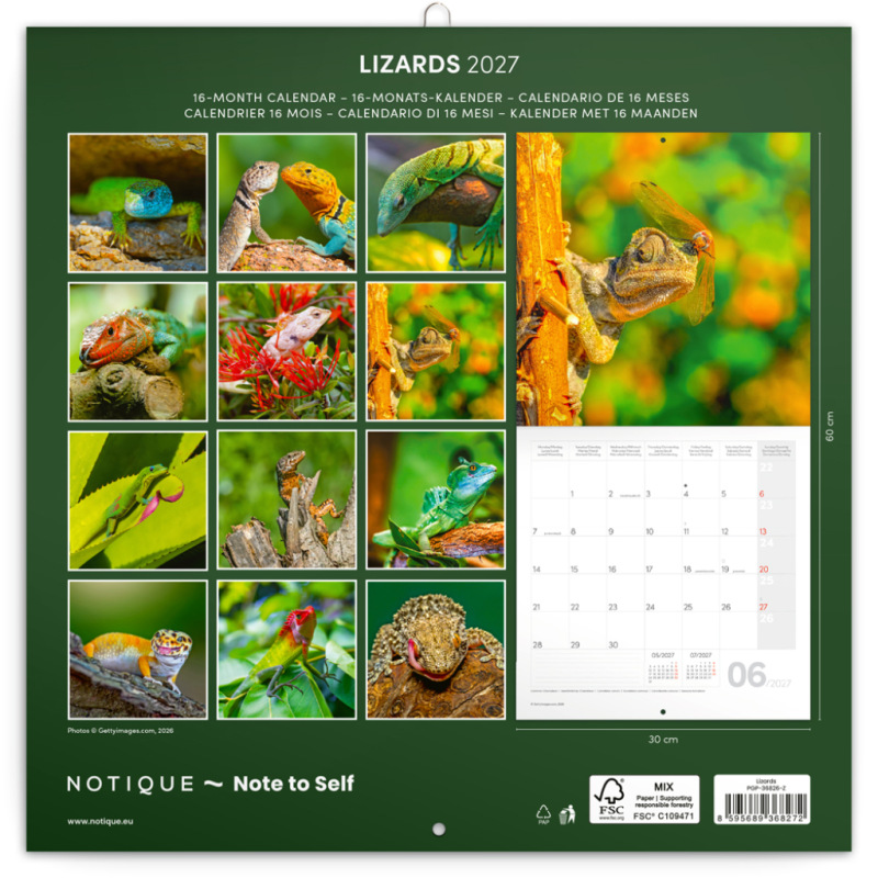 NOTIQUE Grid calendar Lizards 2027, 30 x 30 cm 14