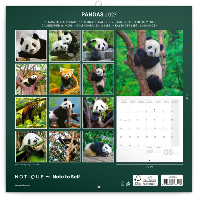 NOTIQUE Grid calendar Pandas 2027, 30 x 30 cm 14