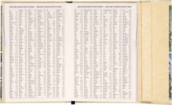 NOTIQUE Týždenný magnetický diár Josef Lada 2026, 11 x 16 cm 6