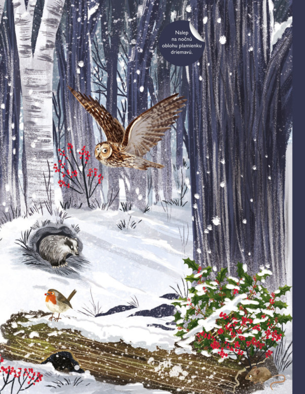 SVET SÝKORIEK, VRABCOV a iných spevavcov – Kniha samolepiek 6