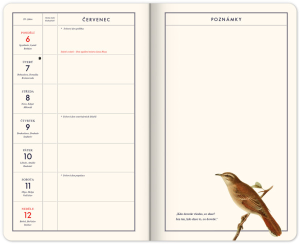 NOTIQUE Zábavný kalendár Kateřiny Winterové 2026, 13 x 21 cm 1