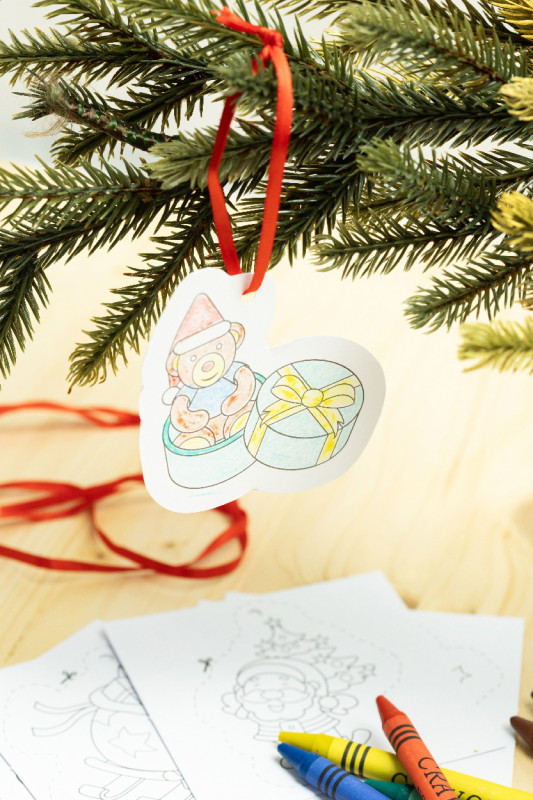 Rodjol vianočná sada na vyfarbenie 5