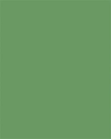 Farebný papier, A3, 130 g, 50 listov, FOLIA, machovo zelený