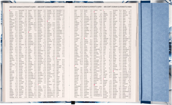 NOTIQUE Týždenný magnetický diár Porcelánový kvet 2026, 11 x 16 cm 7