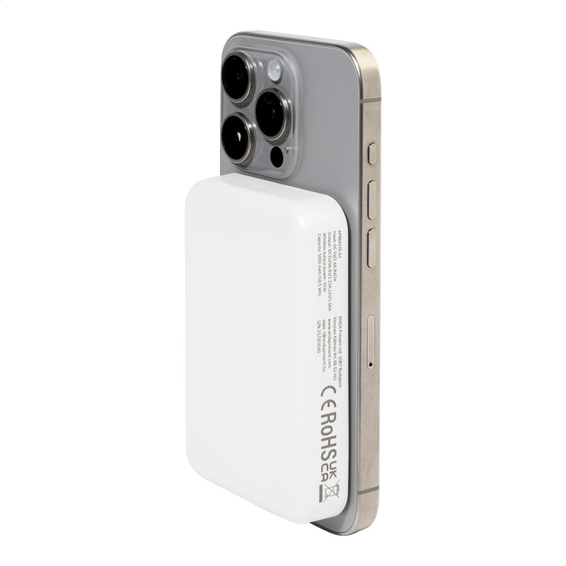 Rabobank FastMag power banka RABS 4