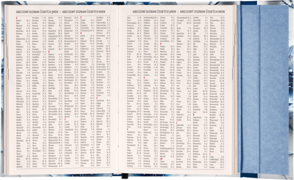 NOTIQUE Týždenný magnetický diár Porcelánový kvet 2026, 11 x 16 cm 6