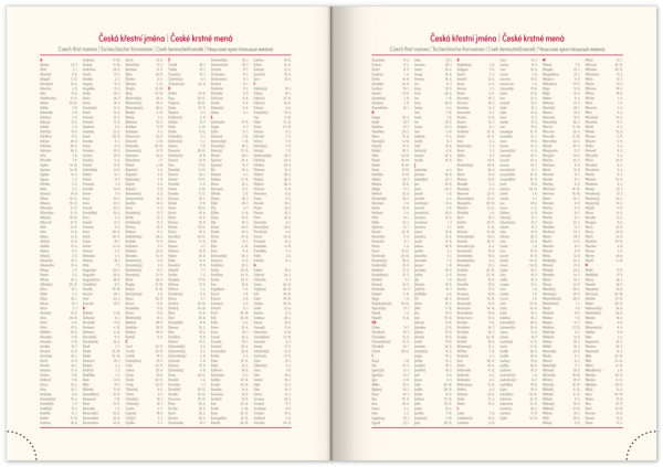 NOTIQUE Denný diár Panama 2026, zelený, 15 x 21 cm 5