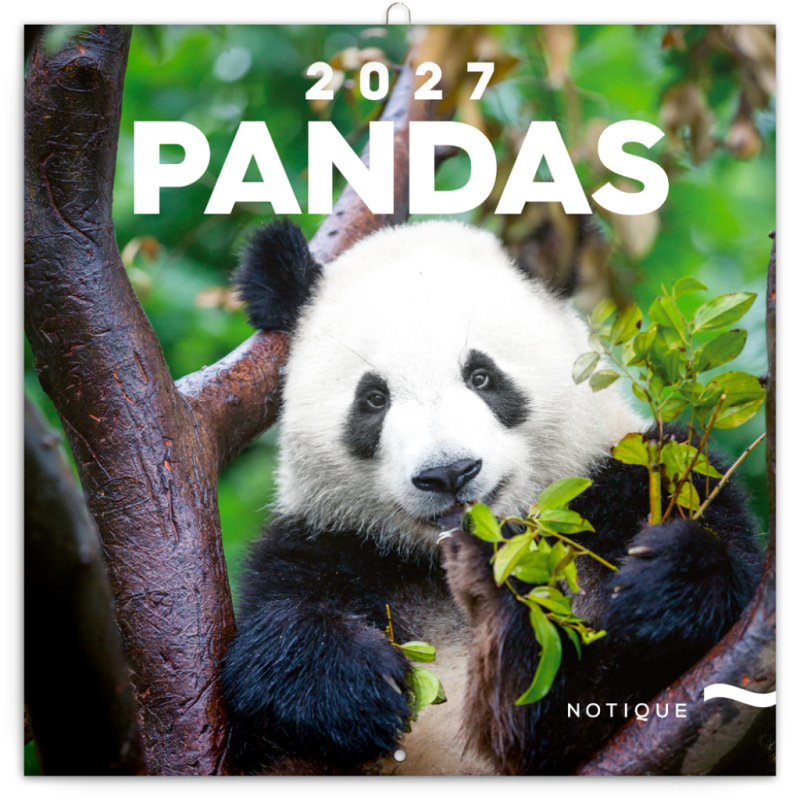 NOTIQUE Grid calendar Pandas 2027, 30 x 30 cm
